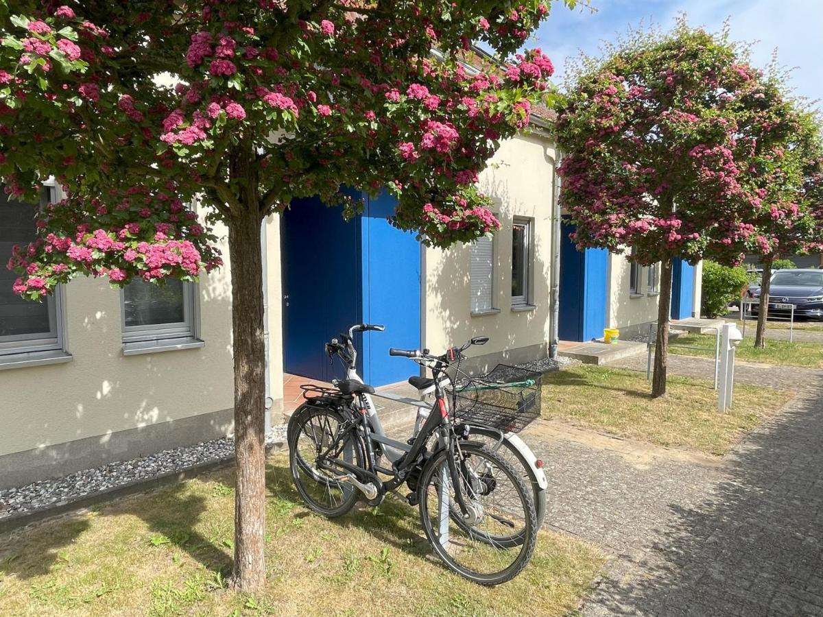 Ferienwohnung Achterwasser Mit Terrasse Dewichow المظهر الخارجي الصورة
